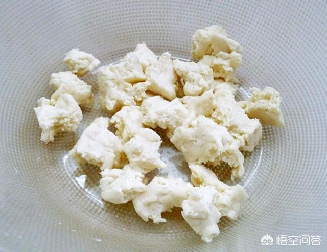 什么是面引子？