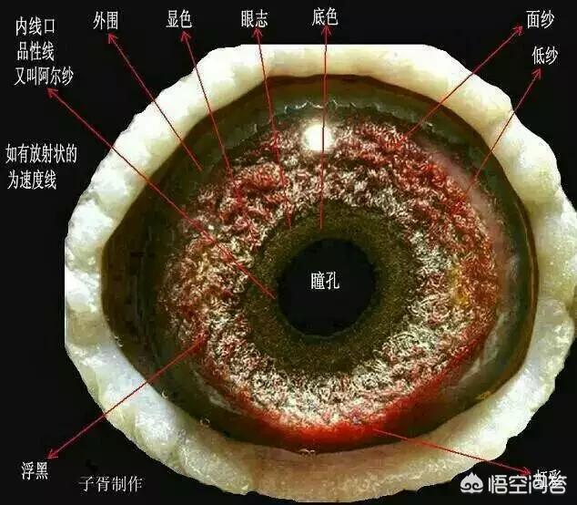 信鸽眼砂分几种:漂亮的鸽子眼砂的照片有哪些？