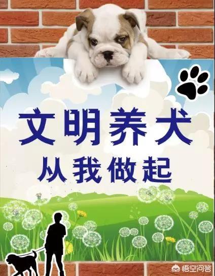济南发布养犬通告小说:济南发布养犬通告：外出遛狗时狗绳最长1.5米。你怎么看？