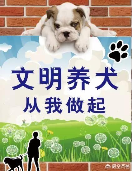 济南发布养犬通告新闻:济南发布养犬通告：外出遛狗时狗绳最长1.5米。你怎么看？ 济南发布最新养犬管理通告