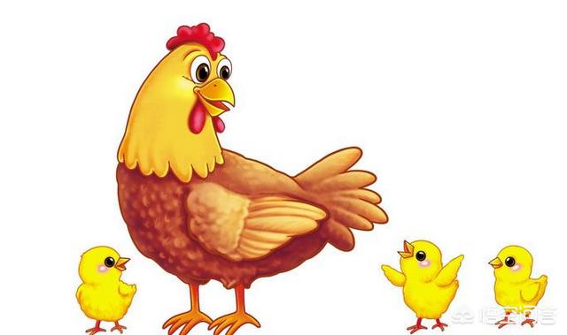 鸡和狗属相配对,属鸡的和属狗的结婚后幸福吗？为什么？