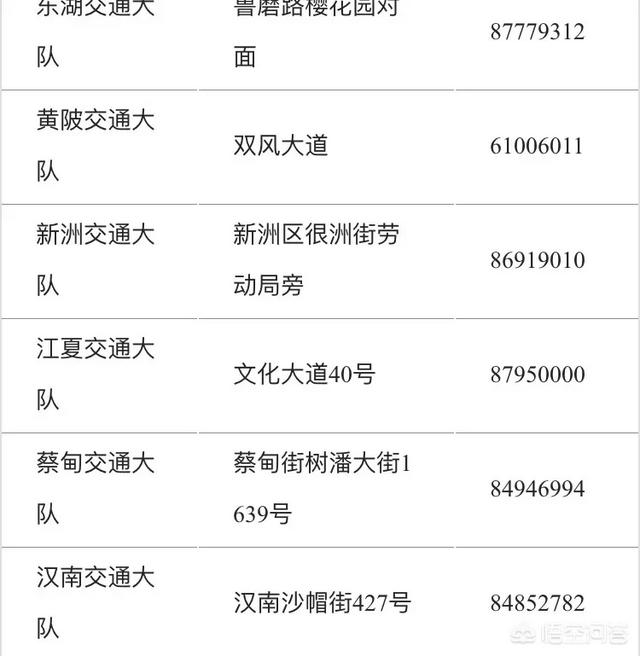 交通违法处置点：怎么查询举报的交通违法处置情况