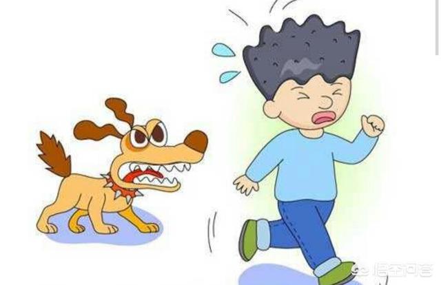 狗孩论坛大全:孩子怕狗，带孩子遇到遛狗不牵狗的人怎么办？