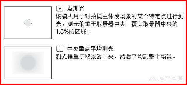 中国观鸟网:中国的喜鹊现在是否已经进化成了新的智慧物种？