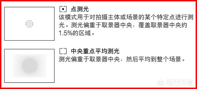 美国鸟类摄影:摄影打鸟是不是需要投入很多钱，普通的器材可以吗？