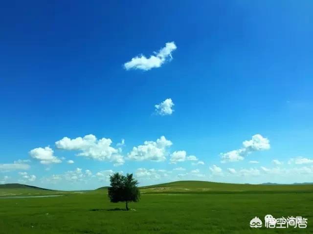 北京金色獒园视频:北京到满洲里自驾游，应该怎样安排旅行路线？