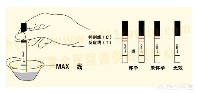 怎么看早孕试纸