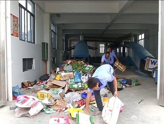 关于鲣鸟的资料:三沙市的生态环境很脆弱，那岛上的垃圾都怎么处理？ 鲣鸟为什么脚这么鲜艳