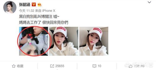 范玮琪老公是谁:你觉得张韶涵和范玮琪谁在炒作呢