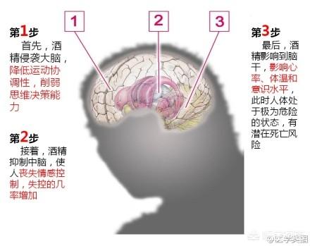 葛花解酒(葛花解酒茶)