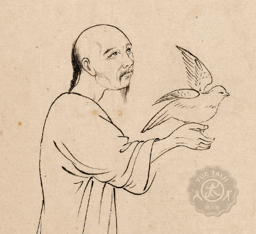 太极雀不飞是什么:“一羽不能加，蝇虫不能落”是什么意思？