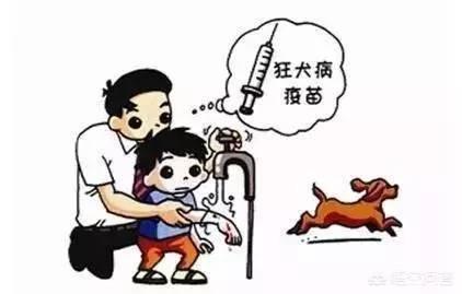 南充狂犬病疫苗价格:狂犬病疫苗打一针要500，你觉得贵吗？ 南充狂犬病疫苗价格