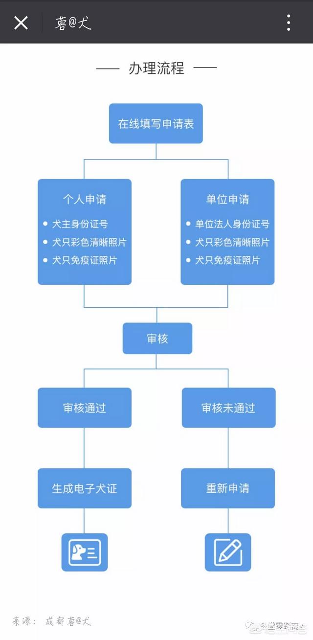 成都英斗犬:为什么养英国斗牛犬的人不多？ 成都法斗犬舍