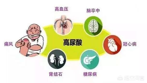 黑茶的药用功效,喝黑茶可以降低尿酸，效果如何？