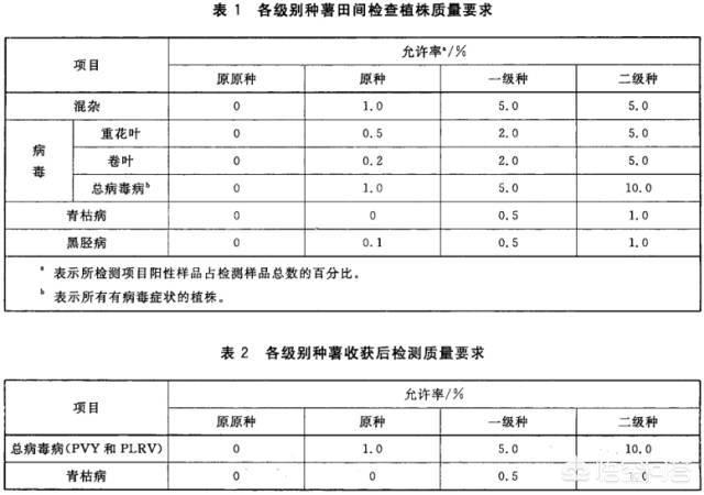 土豆和马铃薯的区别,怎么分辨土豆种和吃的土豆？