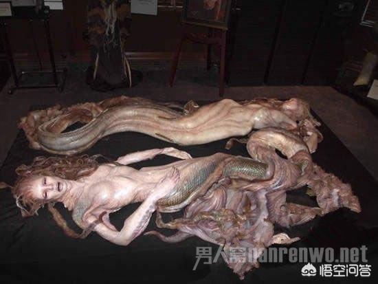 美人鱼化石:周星驰电影《美人鱼》好在哪里