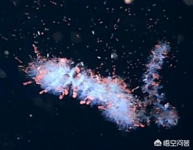 美人鱼化石:周星驰电影《美人鱼》好在哪里
