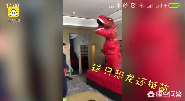 杨海润:如何看待新郎接新娘接到超萌恐龙？