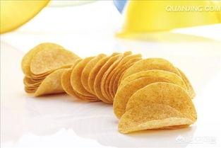 怎样喂养宠物狗:新手饲养狗狗，要注意的事情都有什么？
