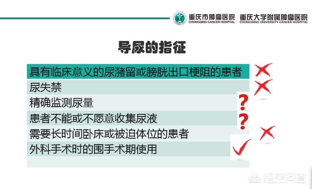 泌尿系统解剖图:为什么做很多手术都要下导尿管，而剖妇产不下导尿管？