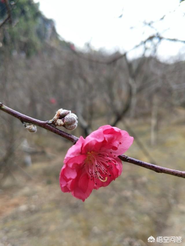 西樵山观音灵异事件:广东佛山的西樵山好玩吗？
