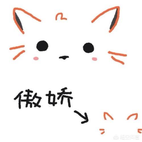 家里有个傲娇的老妈,是种怎样的体验？