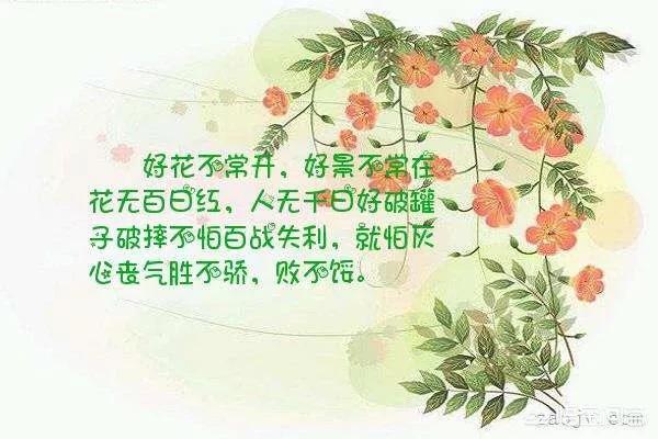 人无百日红:为什么说“人无千日好，花无百日红”？