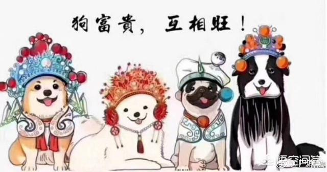 云比特和比特币是一回事吗,两者有什么区别？