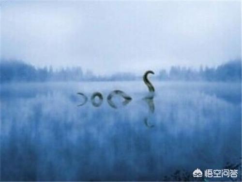 未解之谜的中国神秘动物，长白山水怪为何成了百年未解之谜