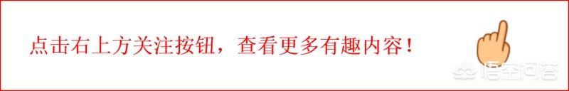 张爱玲说人生有三大遗憾：鲥鱼多刺、海棠无香、《红楼》未完，有什么深意？插图29