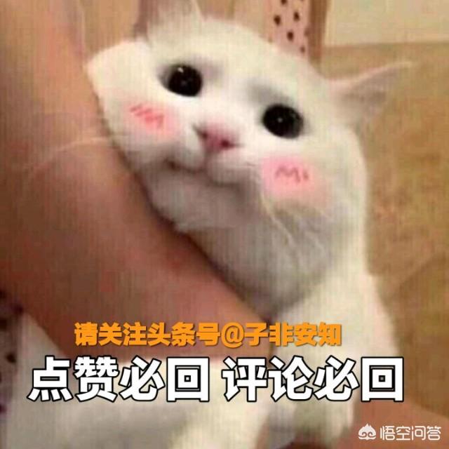 我把妈妈操得大喊大叫:妈妈大喊大叫对孩子的影响 爸爸打妈妈，孩子怎么办？