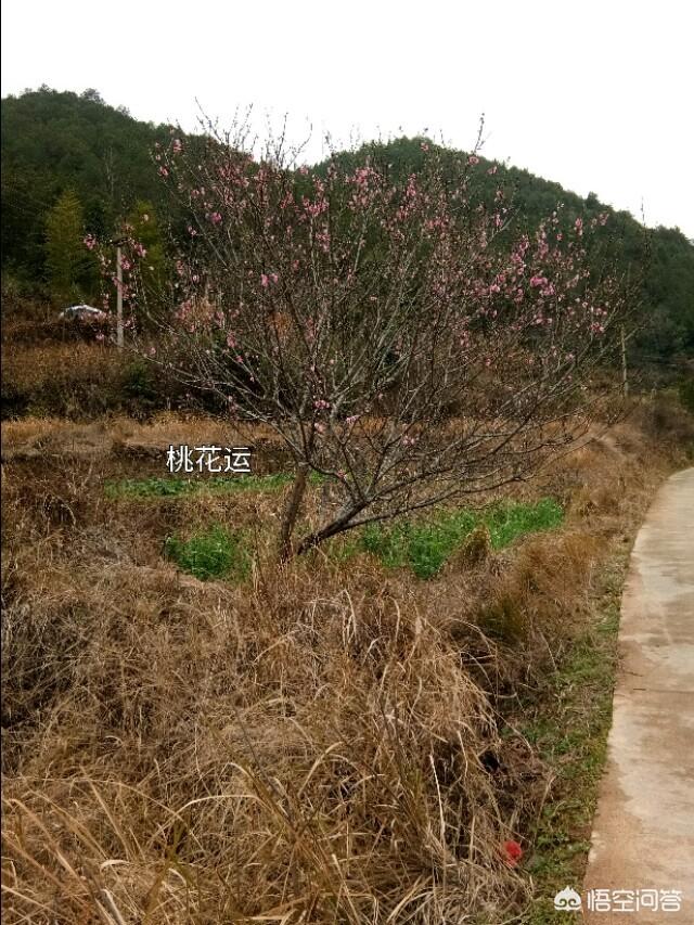 创业中有什么捷径能快速成功？