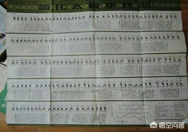 太极雀不飞是什么:怎样才能练好太极拳和推手？