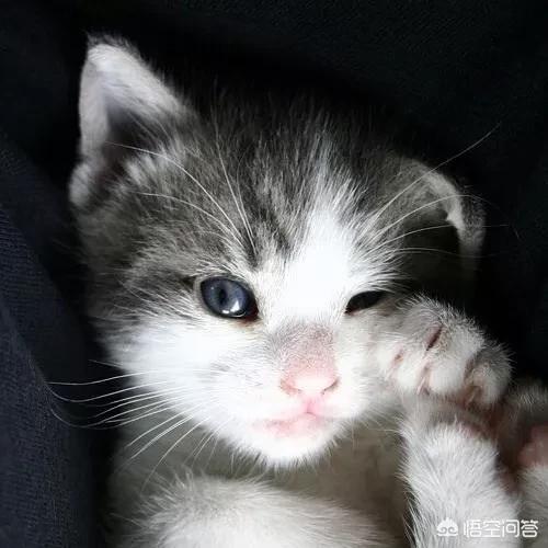 她的睫毛弯的嘴角:分手多年还是放不下，是什么原因？