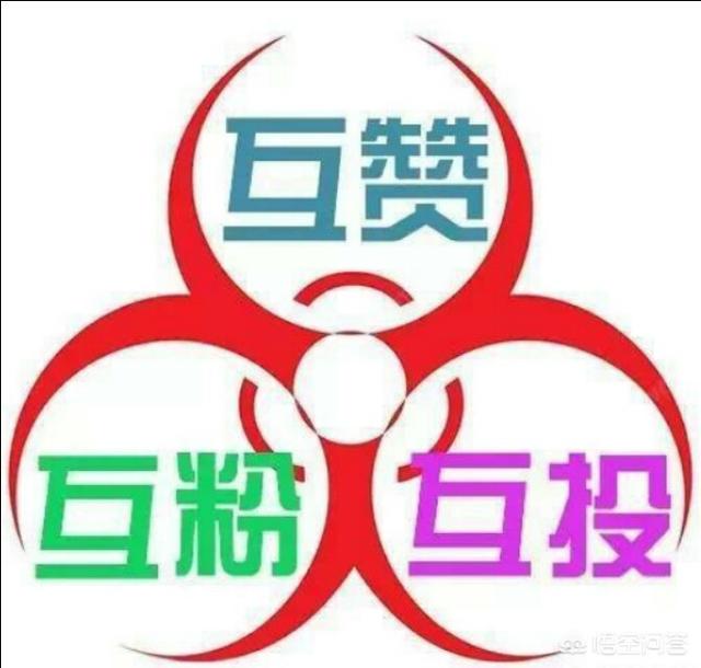 阿得雷德玫瑰鹦鹉弗林德斯山亚种:为什么亚历山大鹦鹉爱咬尾巴毛？