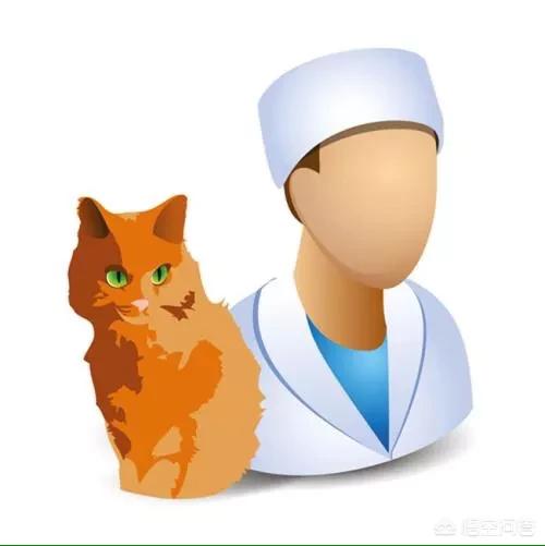 猫咪尿血能自愈吗，猫得了，膀胱炎怎么治疗？
