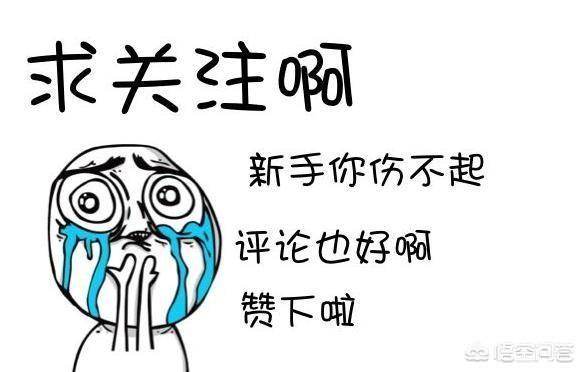 绝地求生橘猫 装老外:玩绝地求生该怎么样选择显示器？
