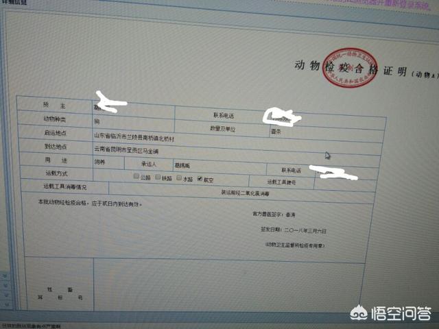 郑州犬瘟热检测价格:郑州办理宠物检疫证明大概多少钱左右？