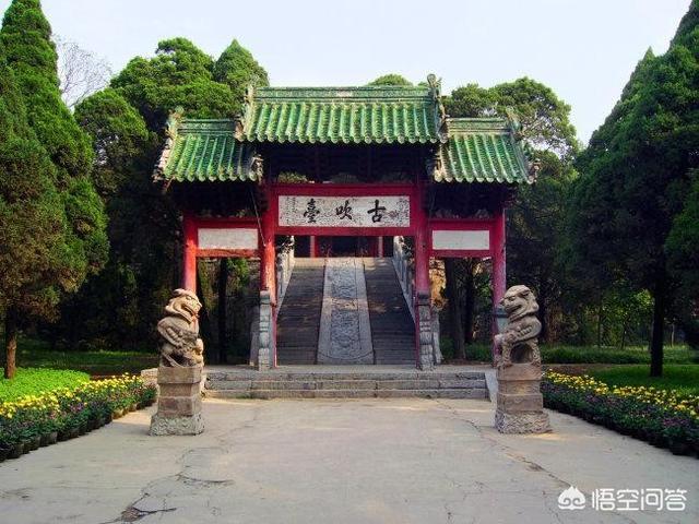 开封哈士奇论坛:在哪里可以买到比较纯种的哈士奇？