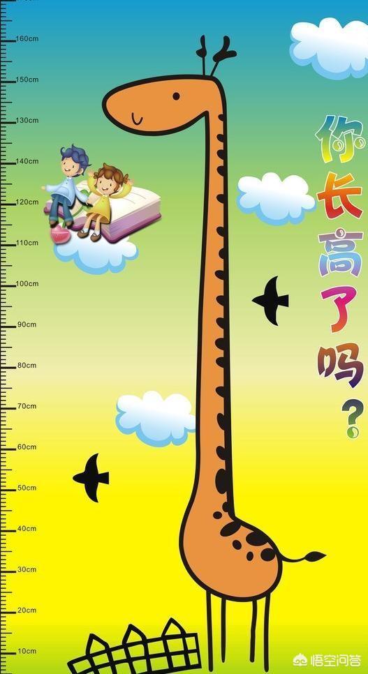 吃海带真的能使孩子长个吗