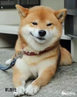 头条问答 游戏里有哪些令你印象深刻的狗 游戏机智说的回答 0赞