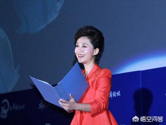 海霞姐是男是女:如何评价央视女主播海霞？她最近怎么样？