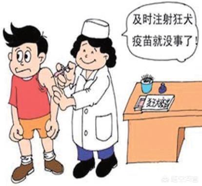 狂犬病的传播途径是什么传播:狂犬病会在人与人之间传染吗？ 狂犬病传播途径人与人传播吗