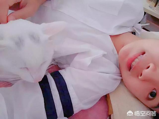 猫咪搞笑图:谁有搞笑的动物、宠物的图片可以分享一下？ 猫咪搞笑图片带字图片