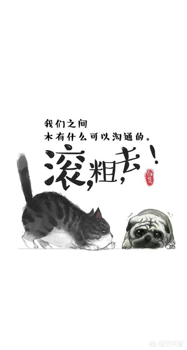青天白日壁纸:有没有白色手机高清壁纸？