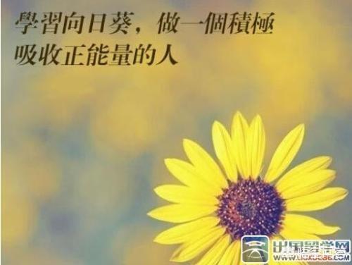 关于职场的正能量语句有哪些？