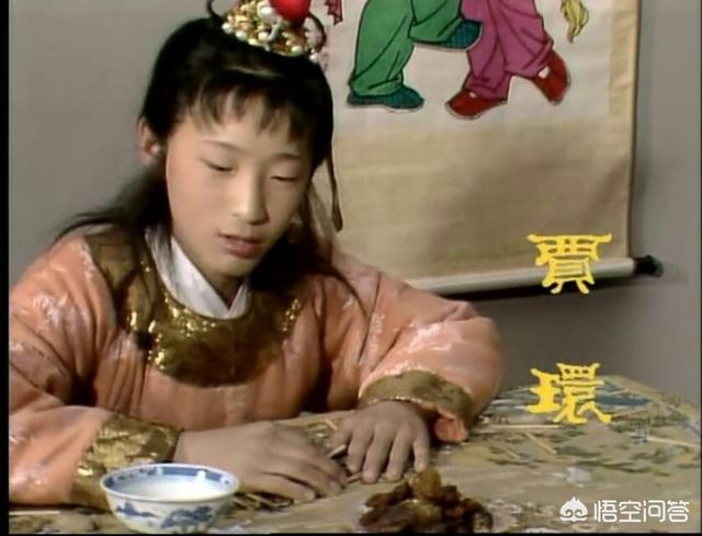 爷们儿结局:《红楼梦》原著贾环的结局是怎样的？