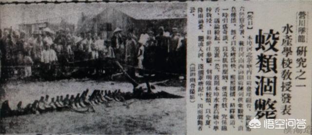 中国未解之谜之营口坠龙事件，1938年营口坠龙事件是真的吗，龙真的存在吗