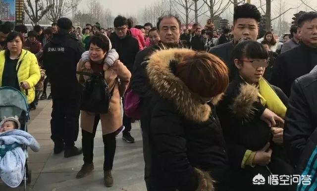 郑州狗狗:郑州景区小狗禁止入内，女孩将狗塞进衣服里，你怎么看？