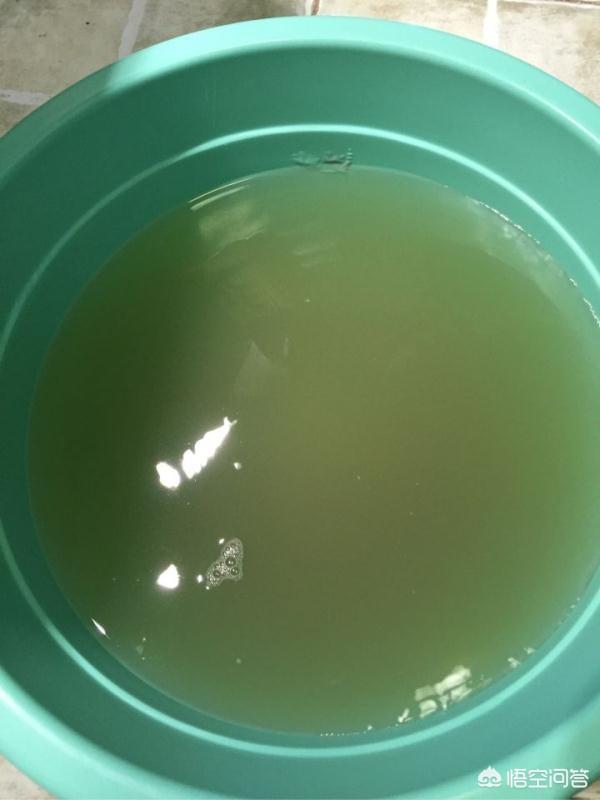 如何清洗滚筒洗衣机的方法妙招，如何清洗滚筒洗衣机内部的污垢
